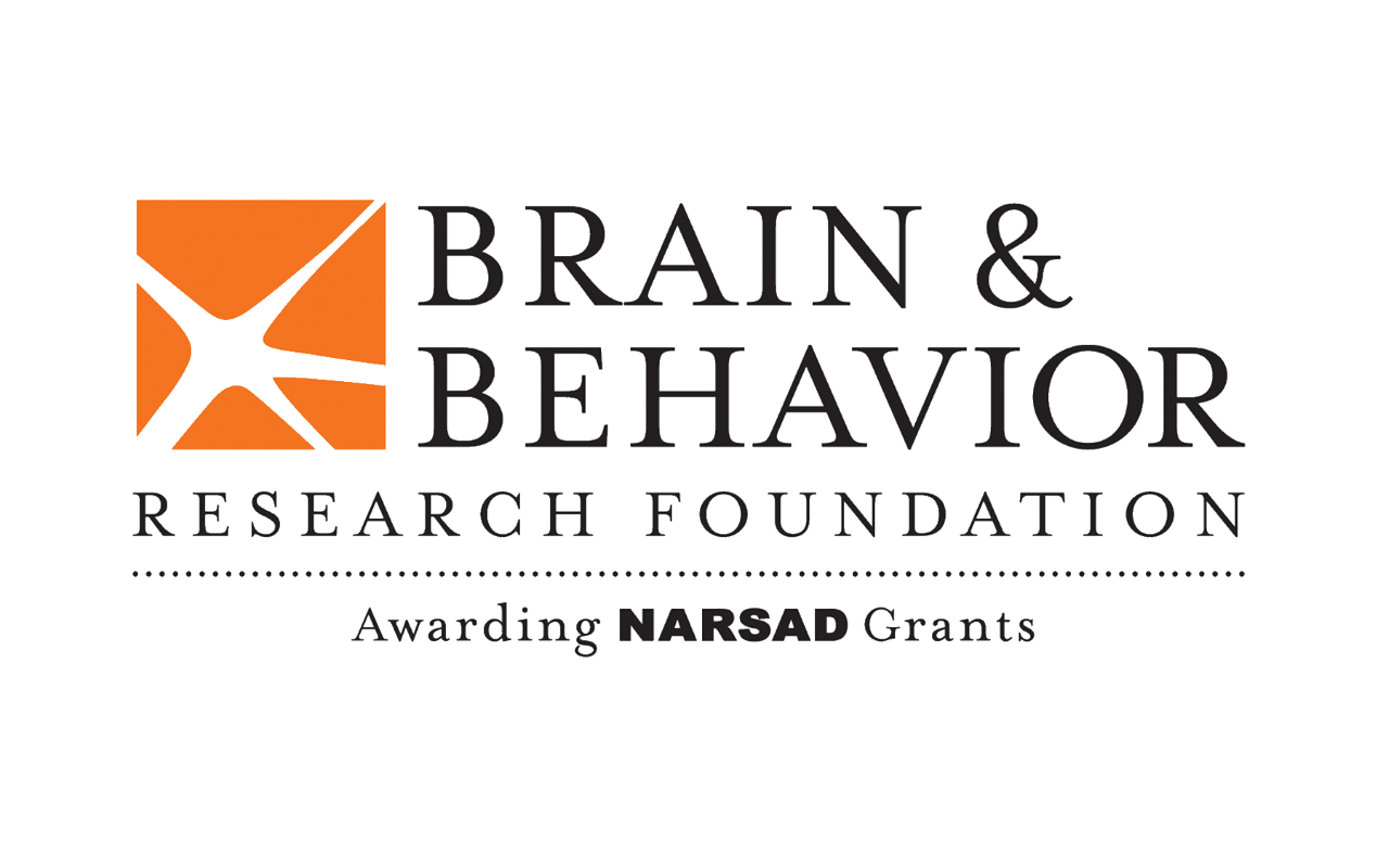 Brain Explorer App - the brain research app